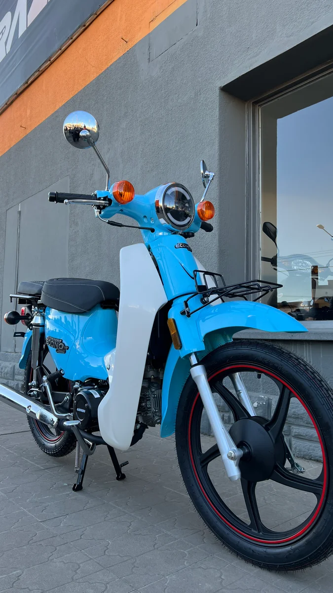 GUERRERO ECONO CLASSIC 110  4