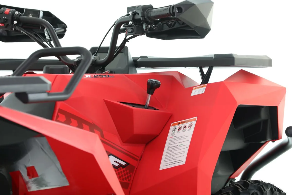 CUATRICICLO 250 CC 2