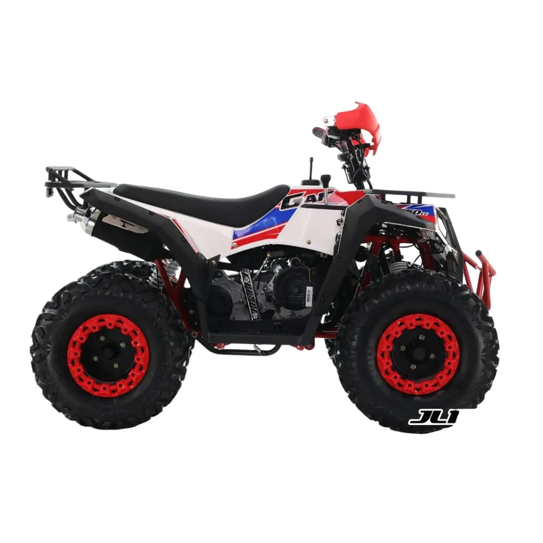 CUATRICICLO JL 150 cc 2