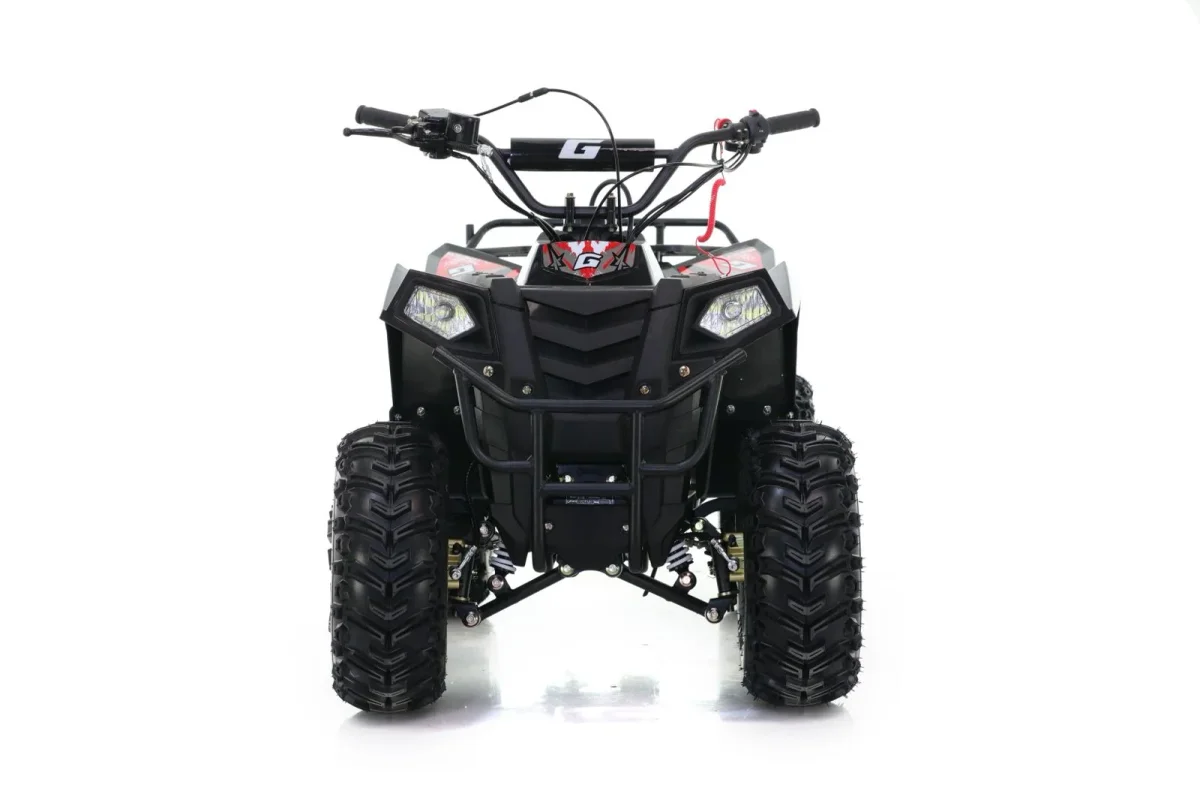 CUATRICICLO JL 110 cc 2