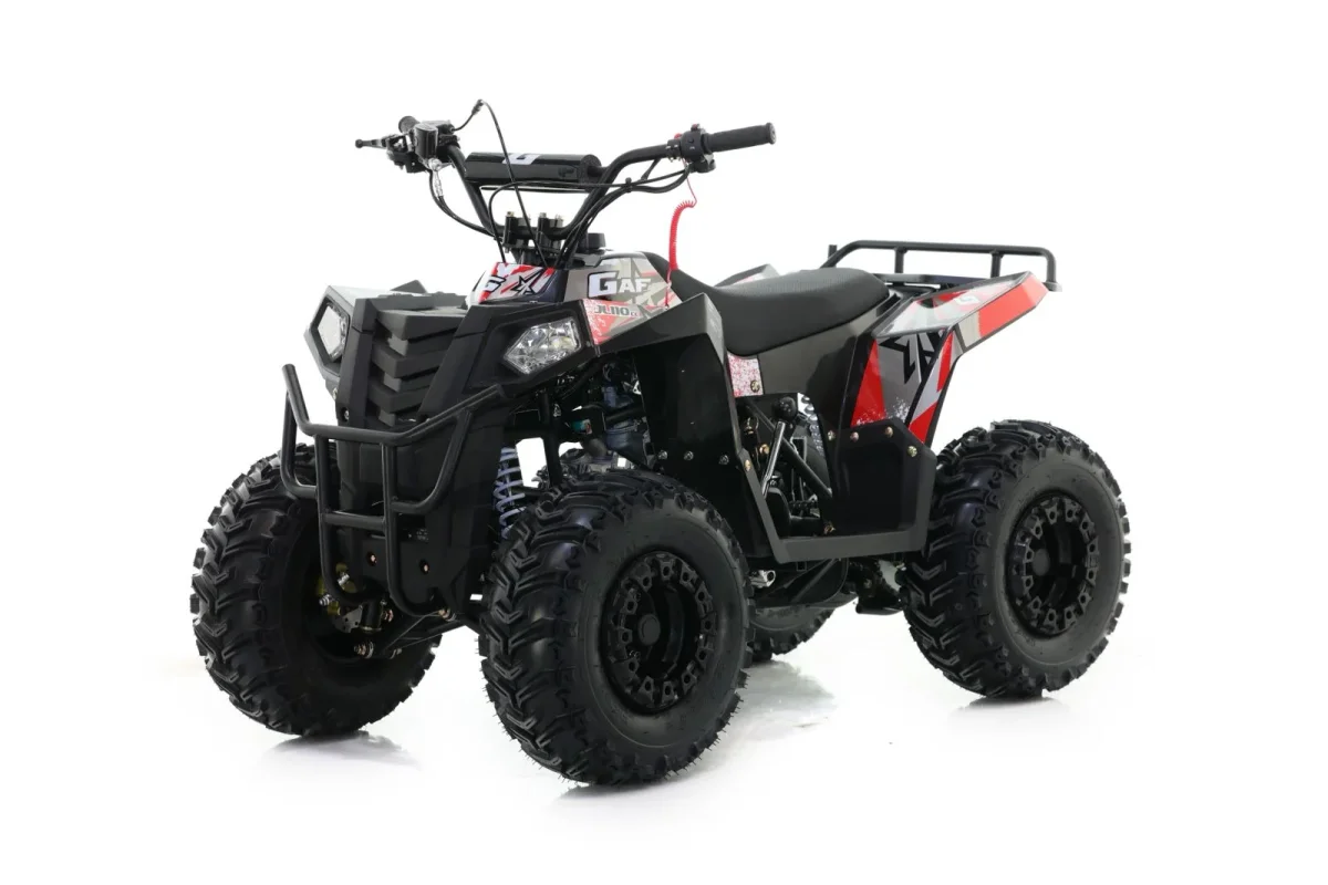 CUATRICICLO JL 110 cc 4