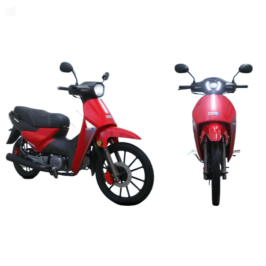 GUERRERO 110 EVO PLUS 